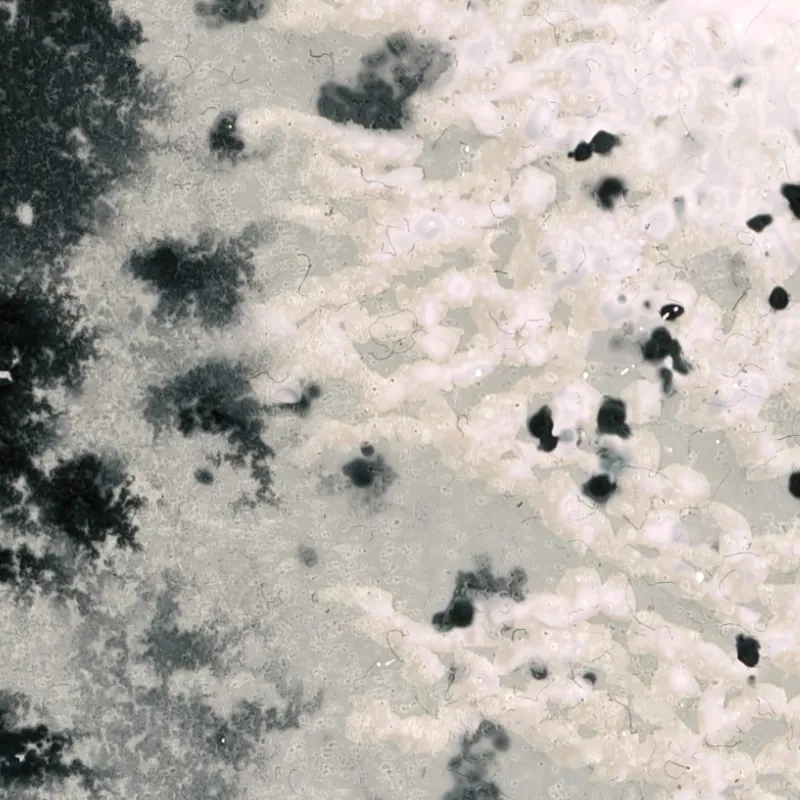 Lumen prints of chemical reaction.