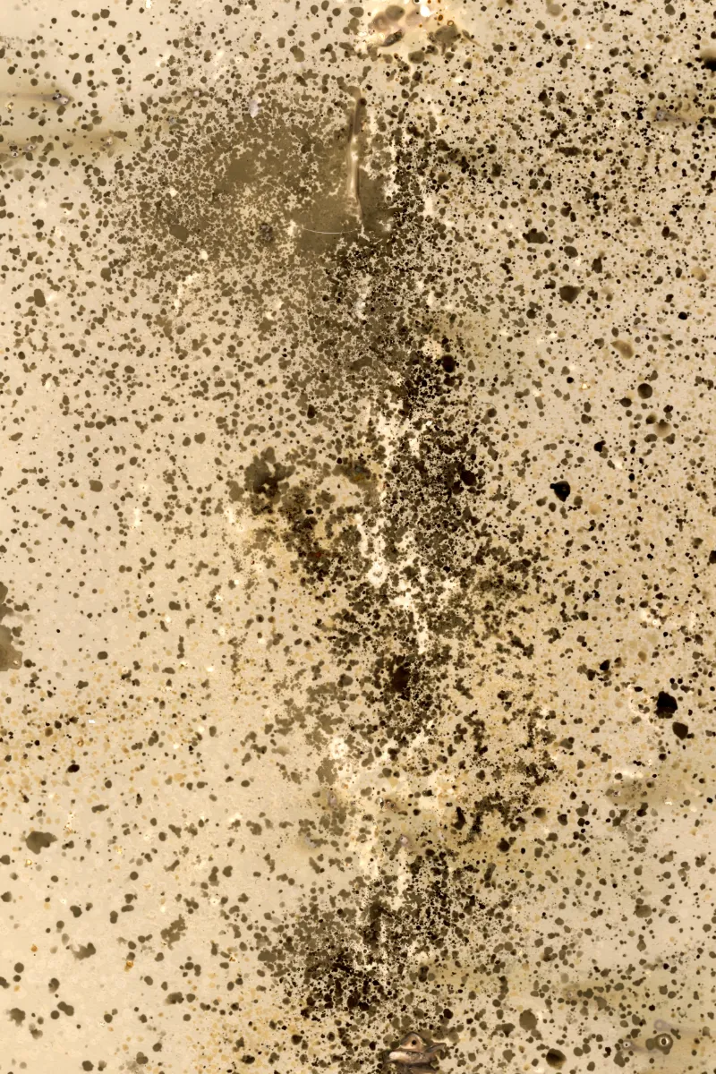 Lumen prints of chemical reaction.