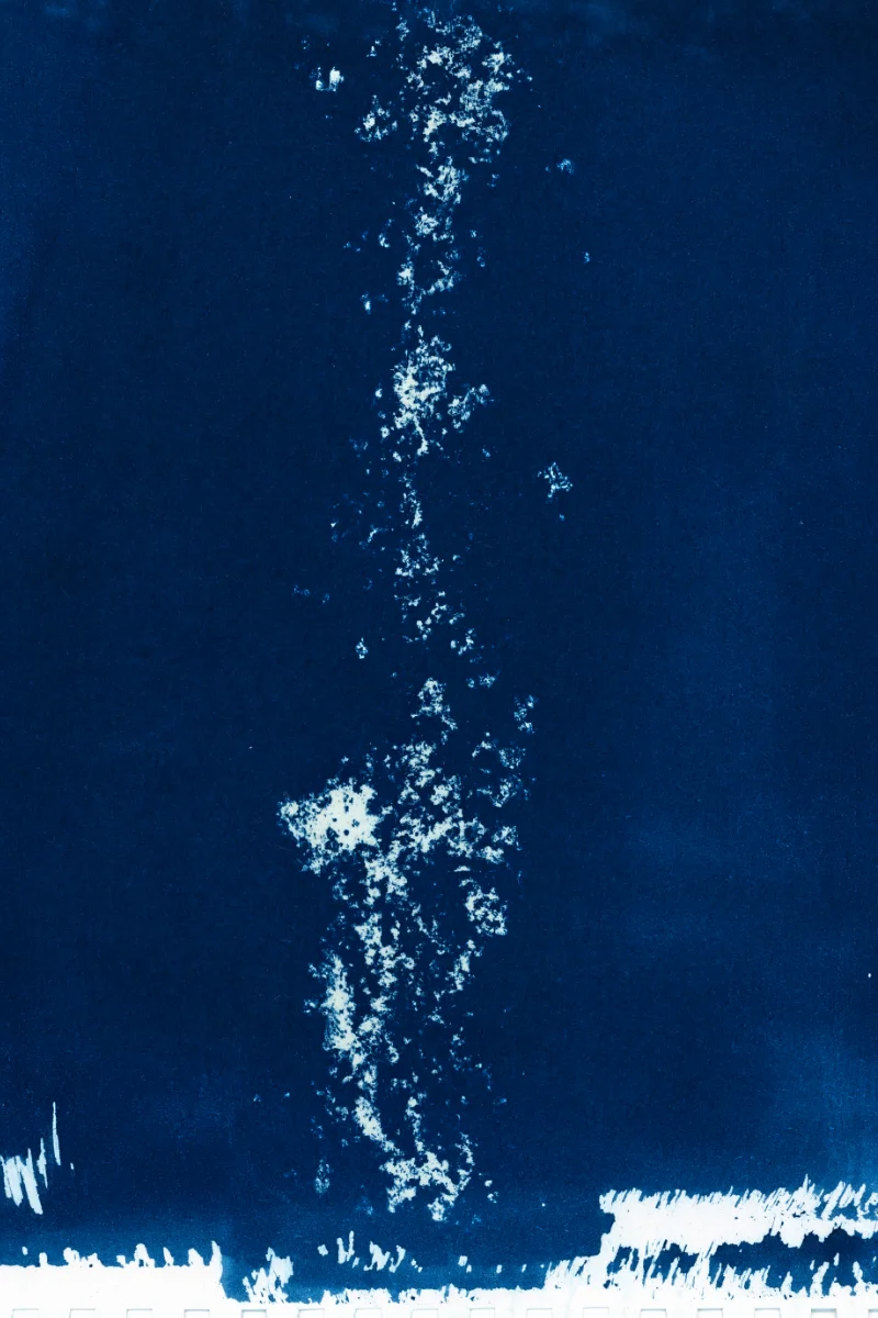 Cyanotype of ashes.