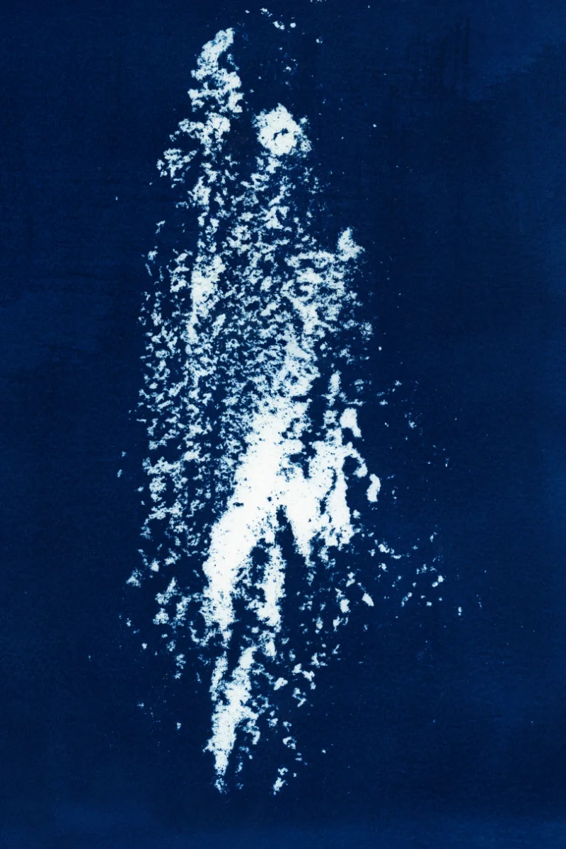 Cyanotype of ashes.