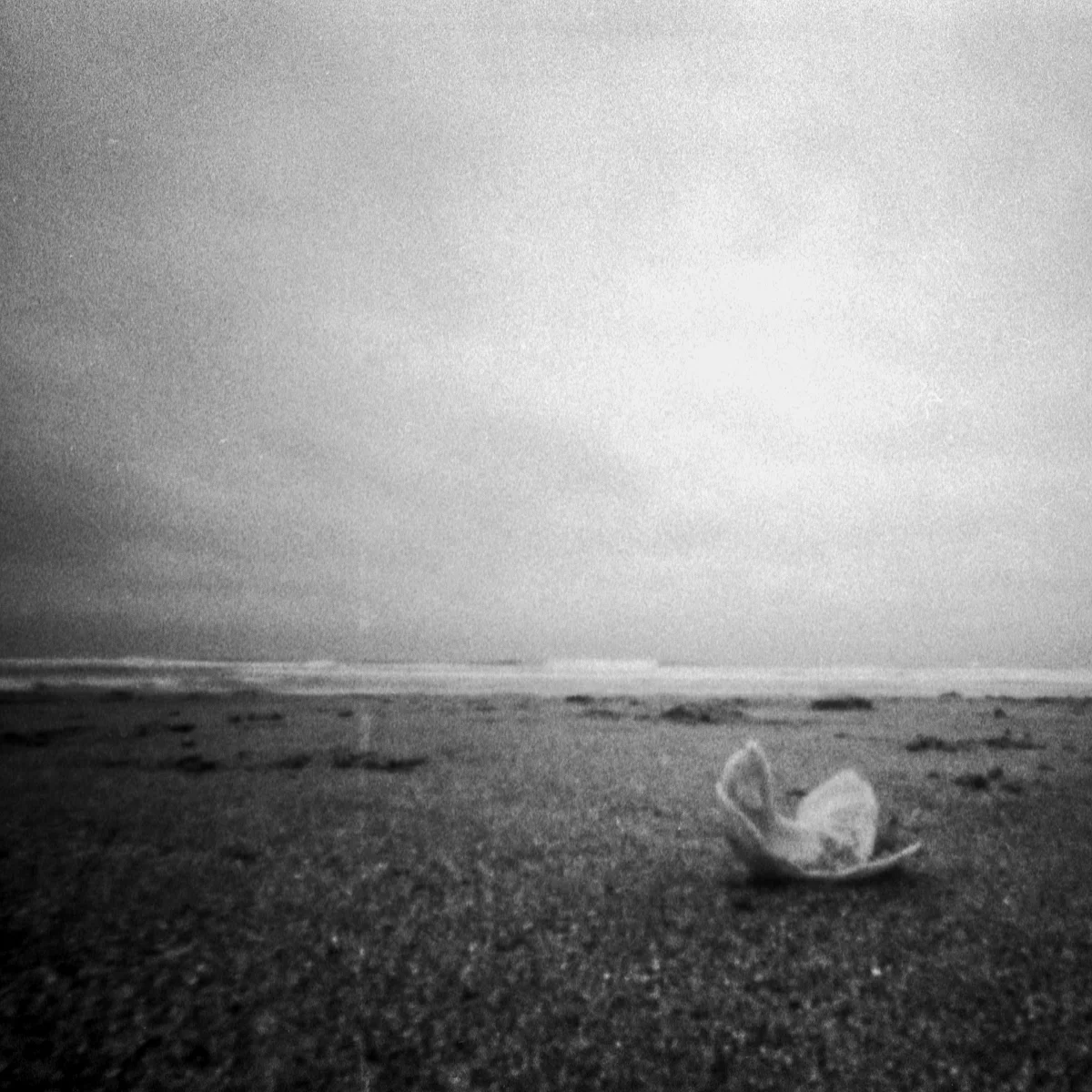 Pinhole photo of landscape.