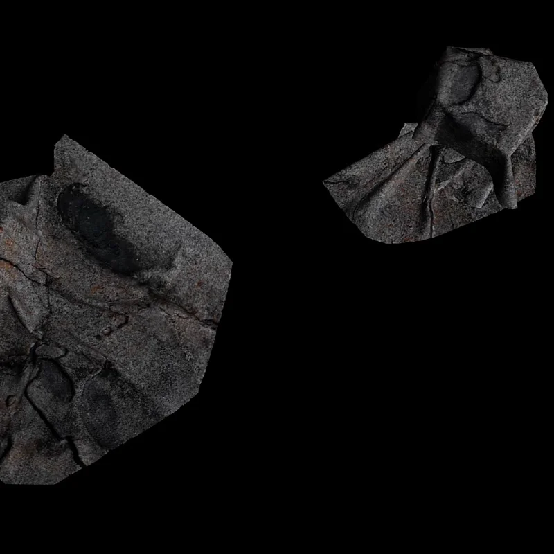 Animated rock.