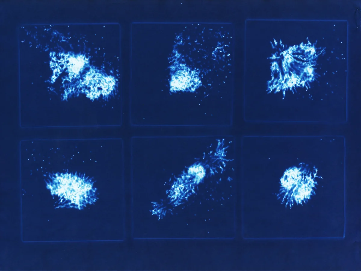Cyanotype