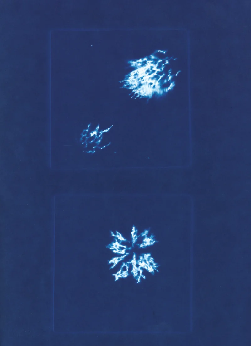 Cyanotype