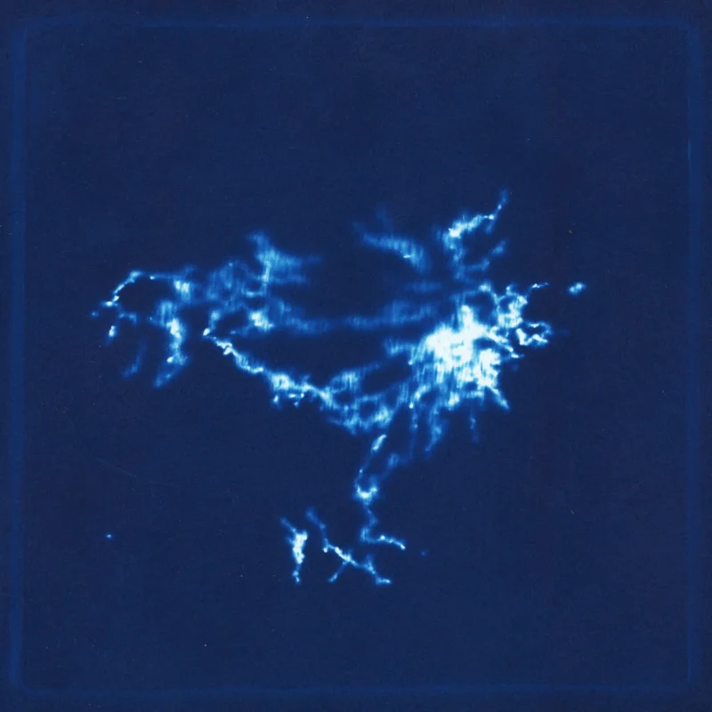 Cyanotype of iron filings