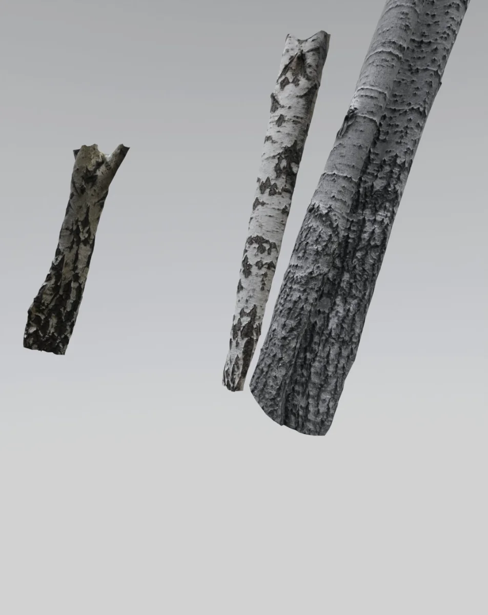 Waving trees
