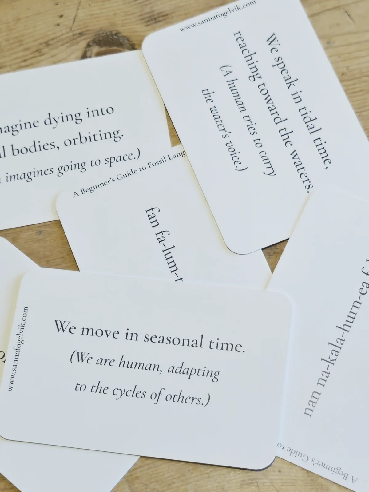 Flashcards for Fossil Language.
