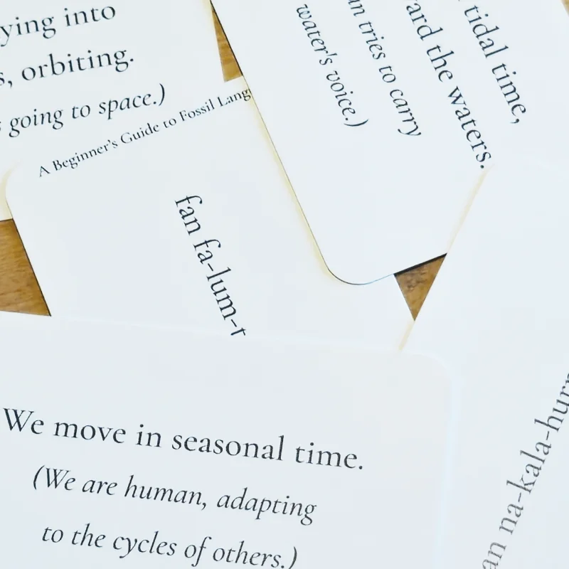 Flashcards for Fossil Language.