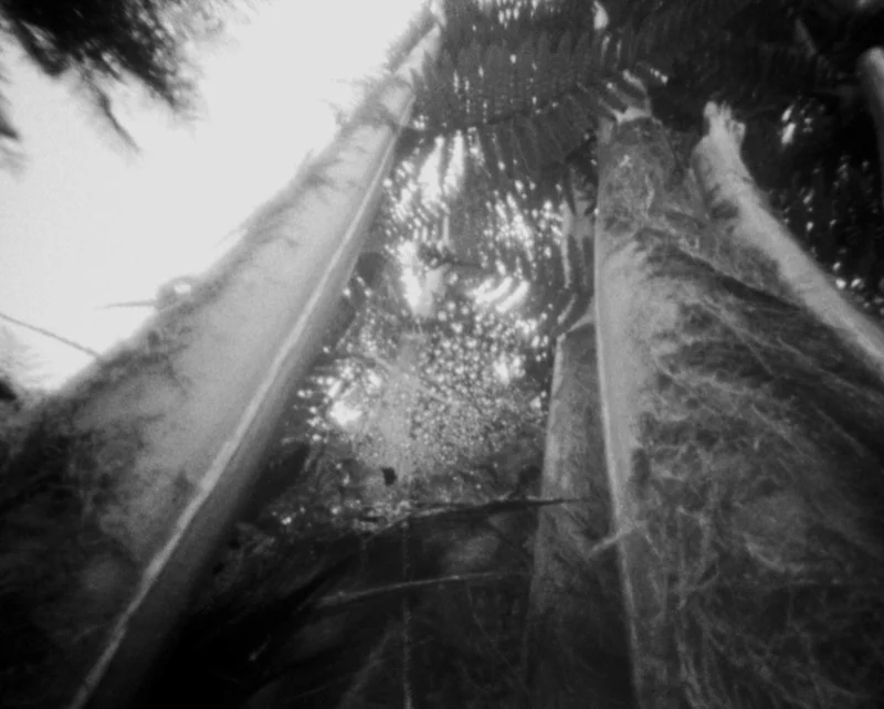 Pinhole photo of landscape.