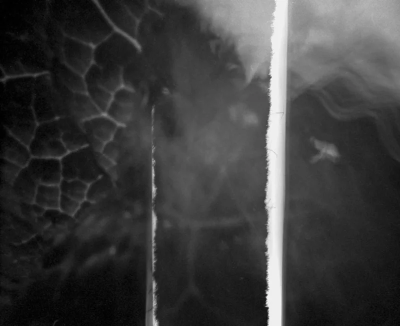 Pinhole photo of landscape.