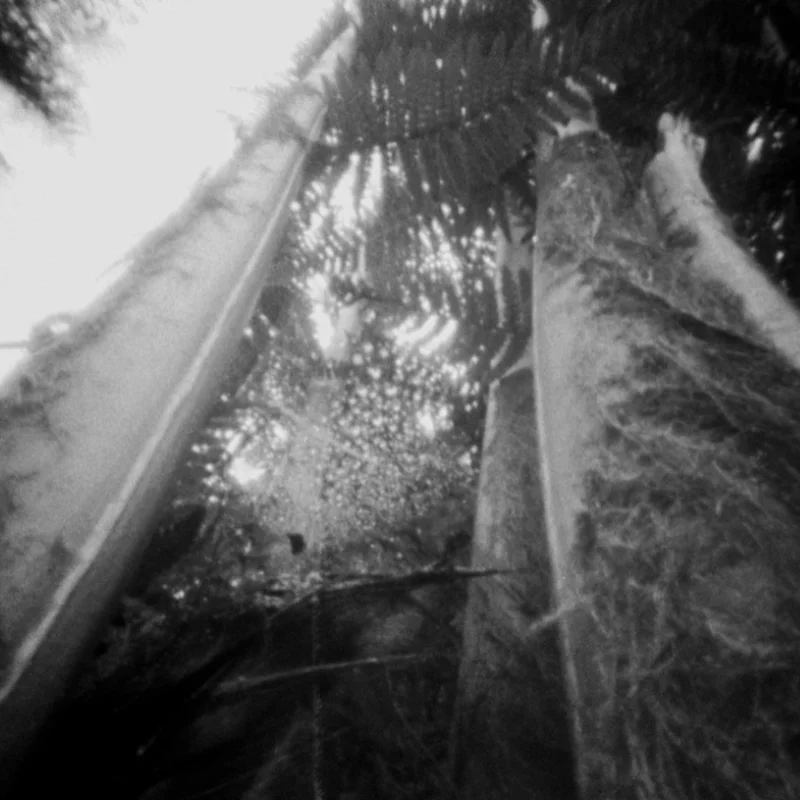 Pinhole photo of landscape.