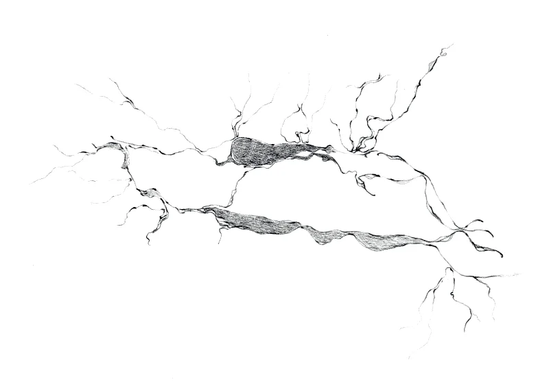 Abstract drawing