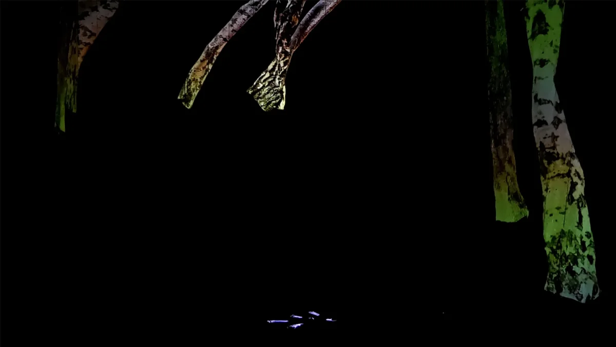 Projection of animated trees.