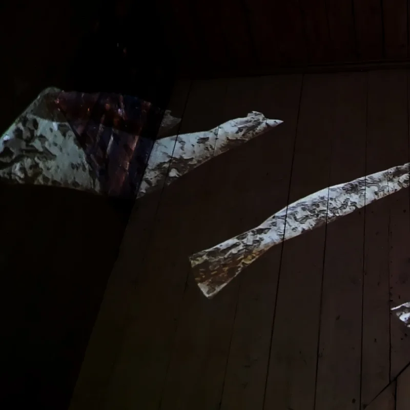 Projection of animated trees.