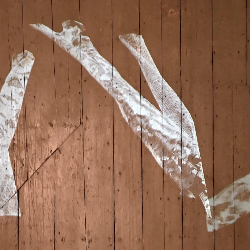 Trees waving in the wind against a wood wall