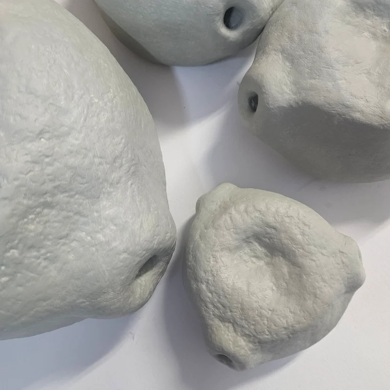 Sculptures of enlarged birch pollen.