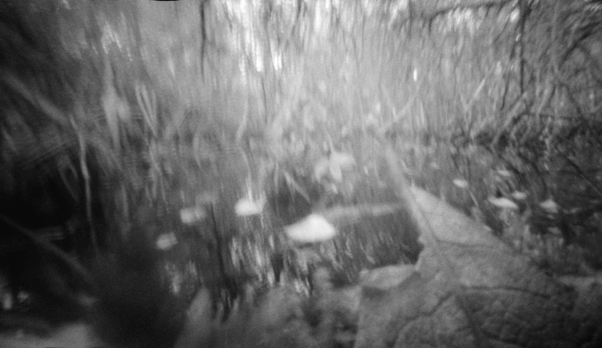 Pinhole photography landscape.