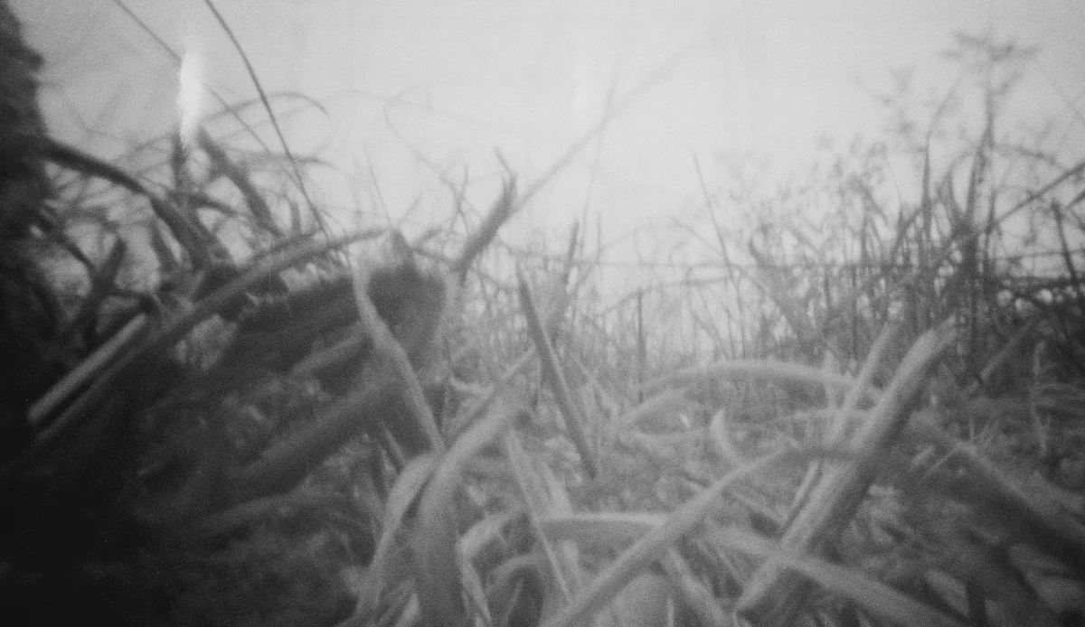 Pinhole photography landscape.