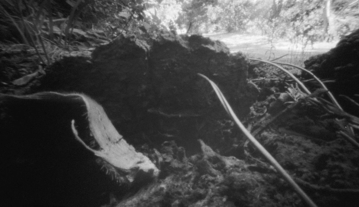 Pinhole photography landscape.