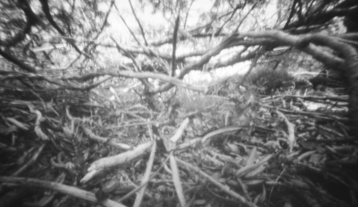 Pinhole photography landscape.