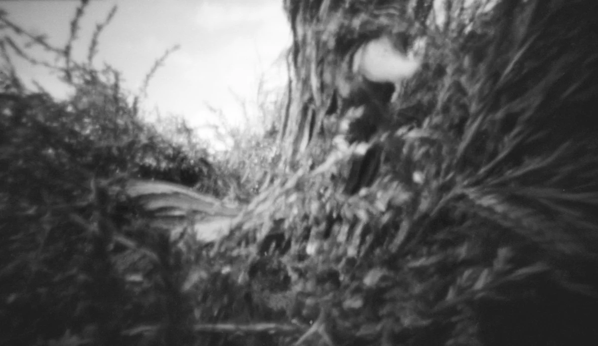 Pinhole photography landscape.