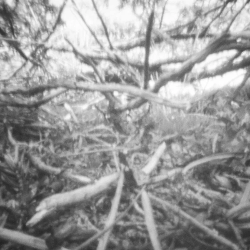 Pinhole photography landscape.