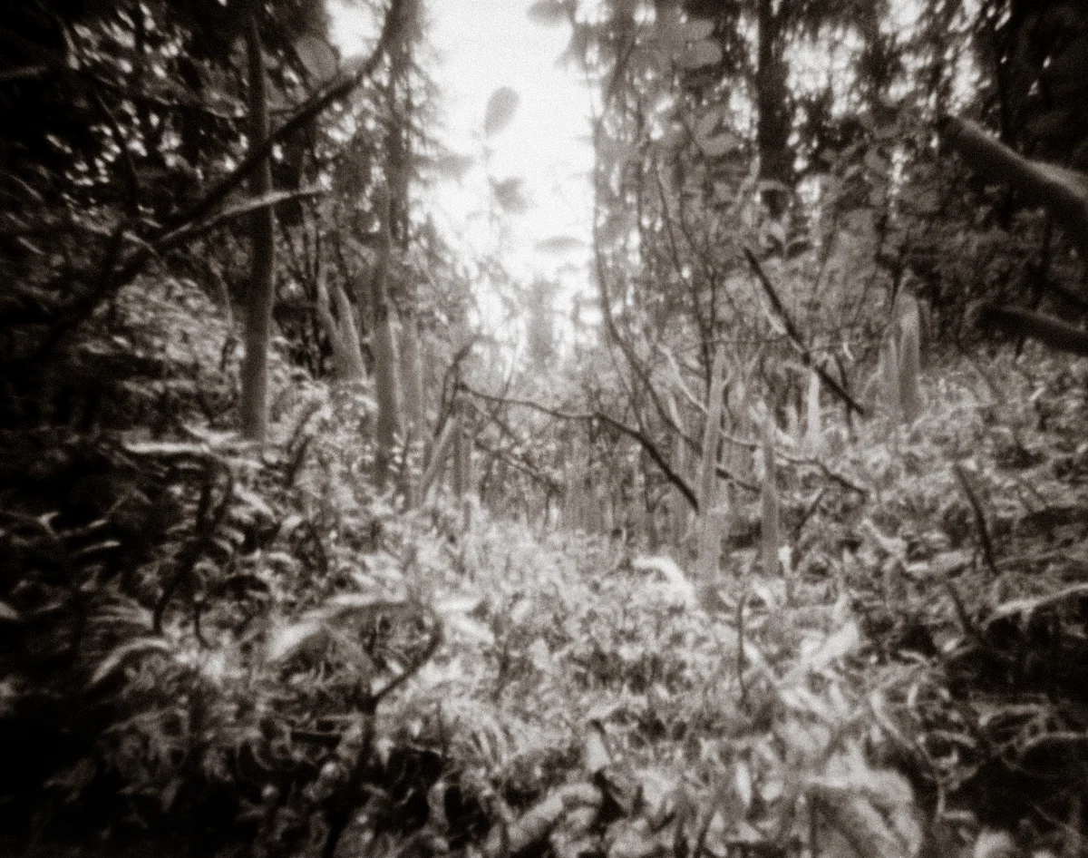 Pinhole photo of landscape.