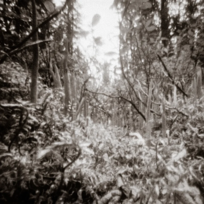 Pinhole photo of landscape.